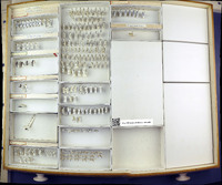 Media resource of Cryptopone gilva