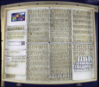 Media resource of Aedes cataphylla