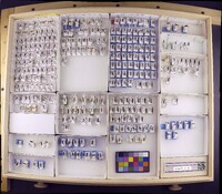 Media resource of Polycentropus fasthi