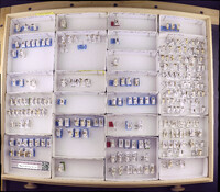 Media resource of Polyplectropus mignonae