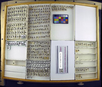 Media resource of Musca domestica
