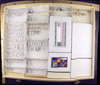 Media resource of Psychomyia pusilla