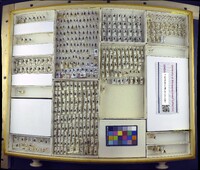 Media resource of Stomoxys calcitrans