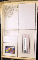 Media resource of Neothremma alicia