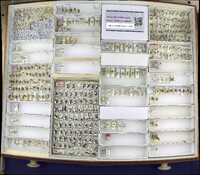 Media resource of Aleiodes autographae