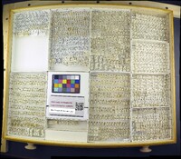 Media resource of Sepsis punctum