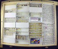 Media resource of Hydrellia agitator