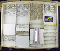 Media resource of Ptilomyia parva