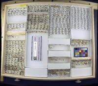 Media resource of Ochthera chalybescens