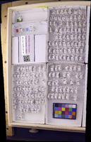 Media resource of Helicopsyche albescens