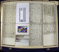 Media resource of Ephydra packardi