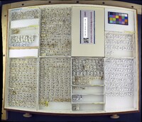 Borborillus sordidus image