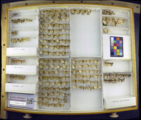 Media resource of Exyra fax