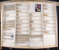 Media resource of Erythroneura delicata