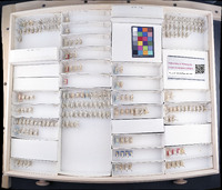 Media resource of Eratoneura osborni