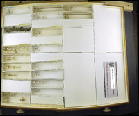 Media resource of Agylla subcinerea