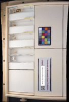 Media resource of Ectoedemia populella