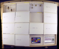 Media resource of Miathyria marcella