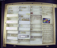 Media resource of Demeijerea atrimanus