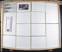 Media resource of Agathomerus flavomaculatus