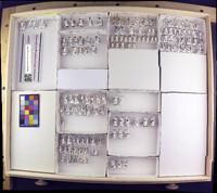 Media resource of Micrasema bactro