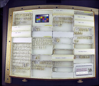 Media resource of Smittia aterrima