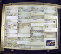 Media resource of Tribelos ater